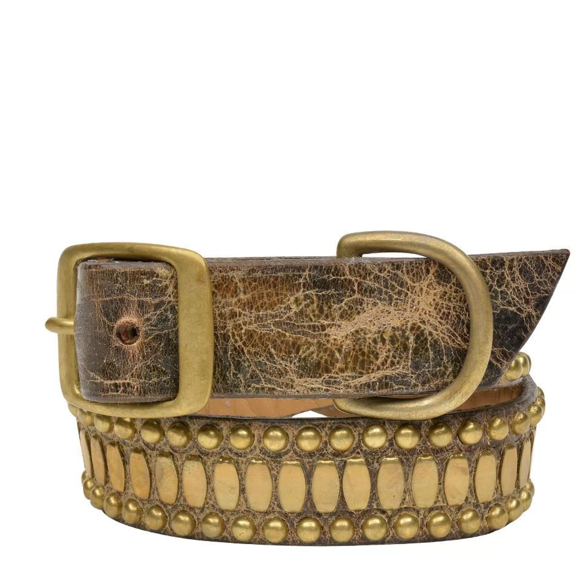 Calleen Cordero Concha 20" Dog Collars Hot