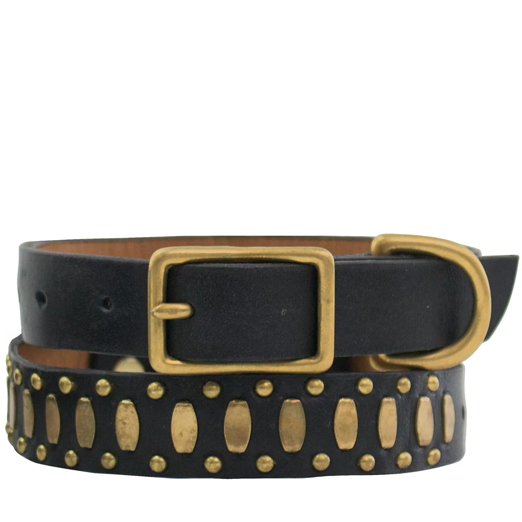 Calleen Cordero Concha S 11" Dog Collars Black Belmont w/ Brass Art Best Sale