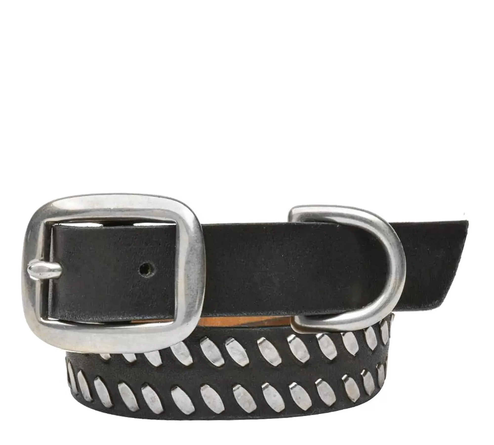 Calleen Cordero Mora 15" Dog Collars Fashion