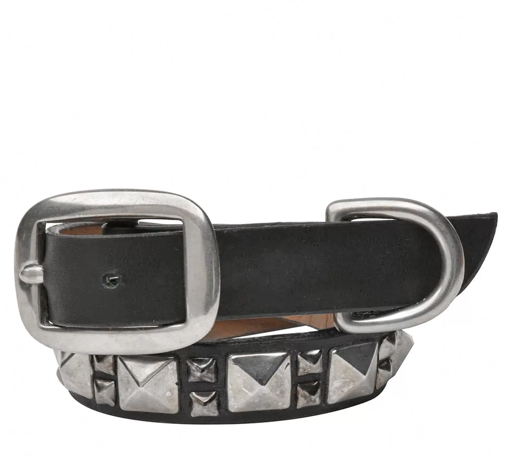 Calleen Cordero Zumo 15" Dog Collars Black Leather w/ Nickel Art Online